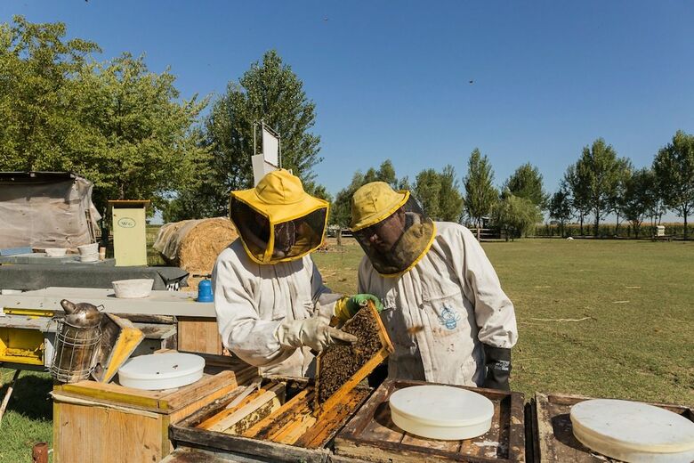 Agroturismo L'antico Casale Dei Sogni