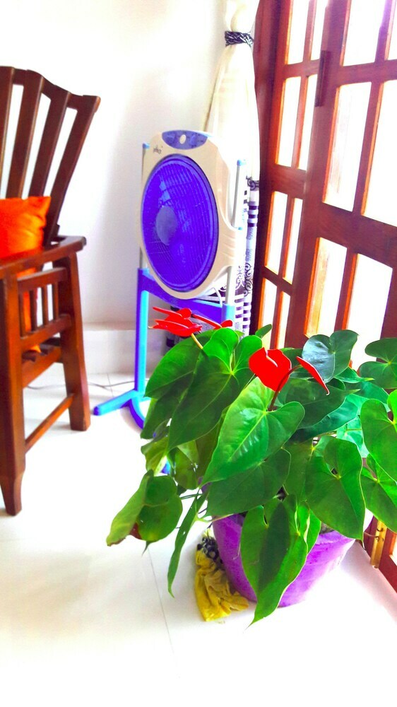 Hotel Fresh Air Villa Guest House