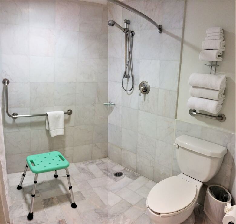 Hotel Holiday Inn Express And Suites At Wtc