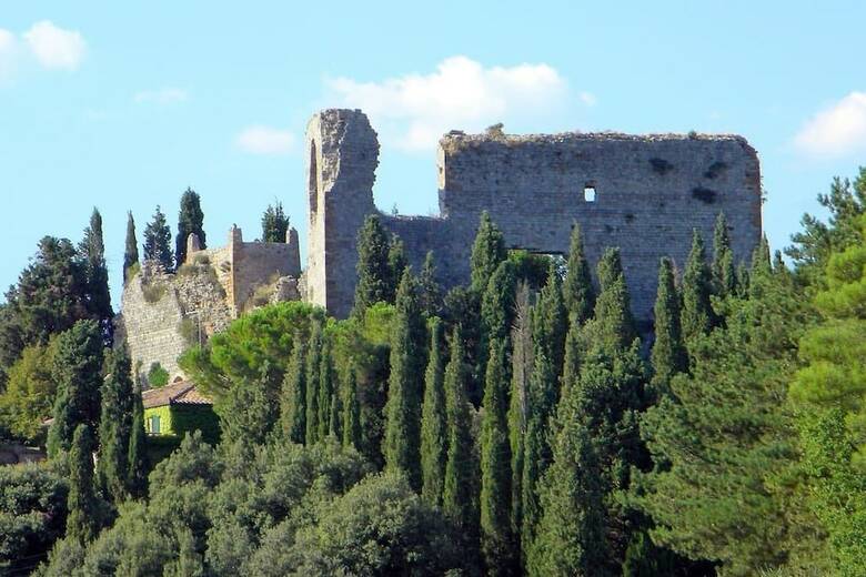 Agroturismo Castello Montelifr�