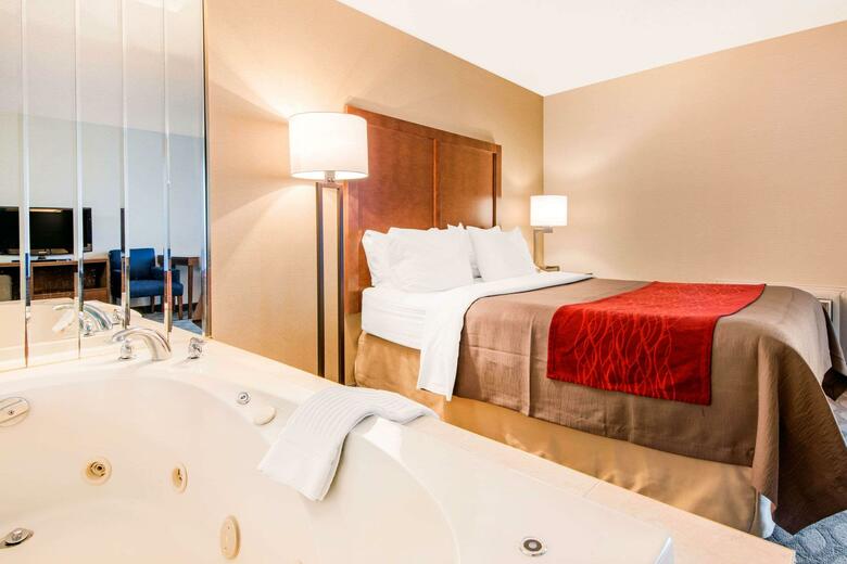Hotel Comfort Inn Fallsview