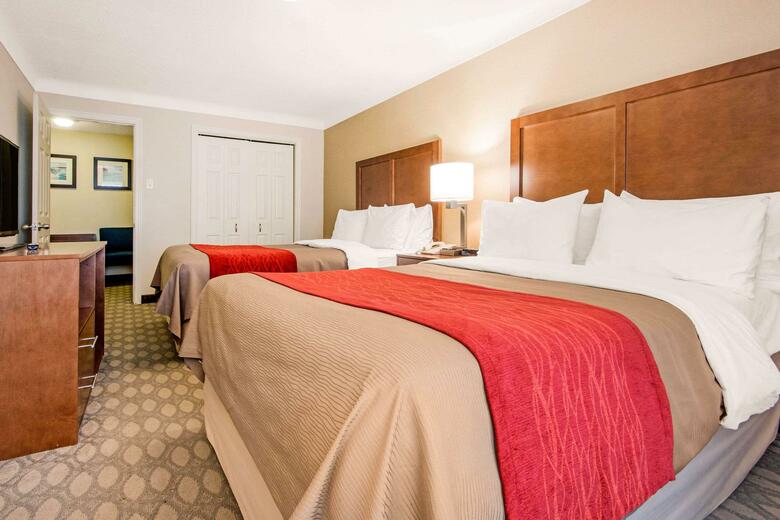 Hotel Comfort Inn Fallsview