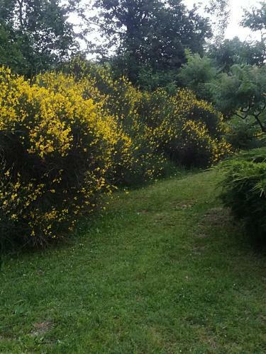 Bed & Breakfast Casa Fiorita