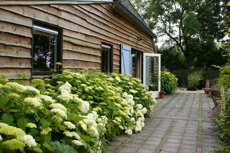 Bed & Breakfast de Heerlijkheid Ruinerwold