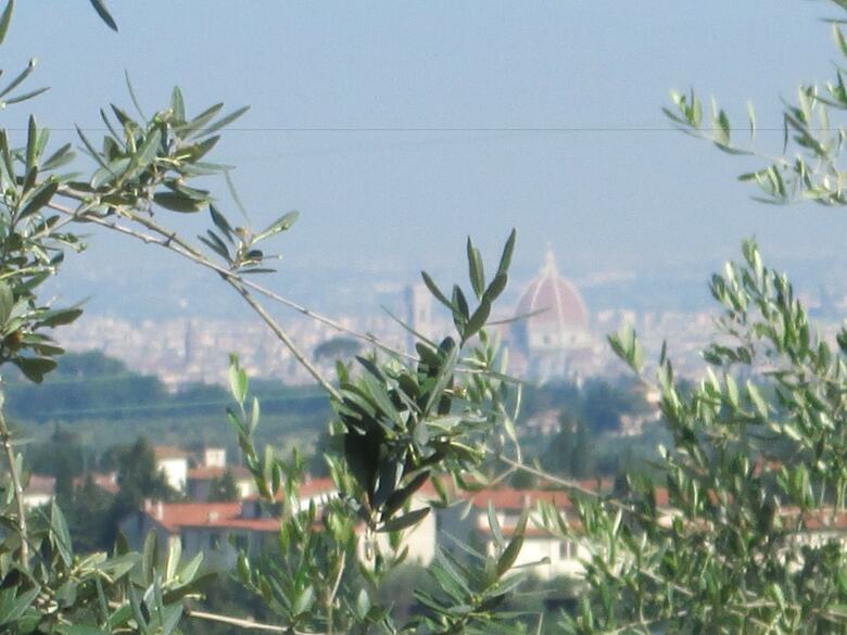 Agroturismo Agriturismo Il Colle