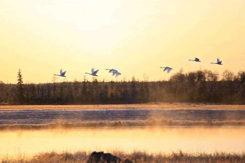 Meadow Lake Guest Ranch
