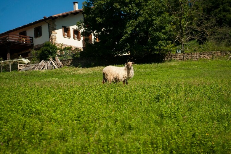 Agroturismo Casa Peluaga