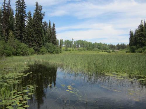 Seawood Bed & Breakfast & Cabins