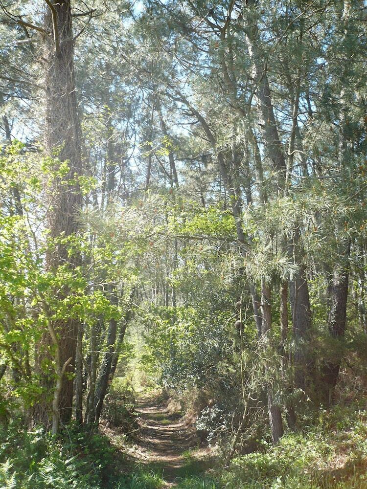 Agroturismo La Guguenaie