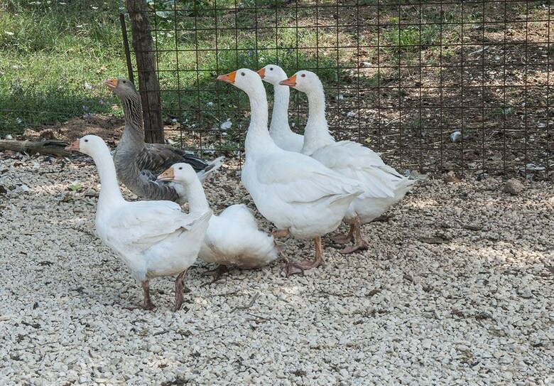 Agroturismo Agriturismo Kelle Terre
