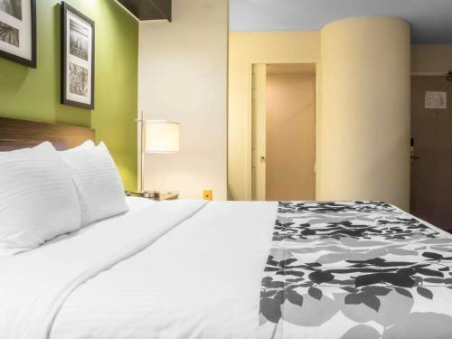 Hotel Sleep Inn Muskoka