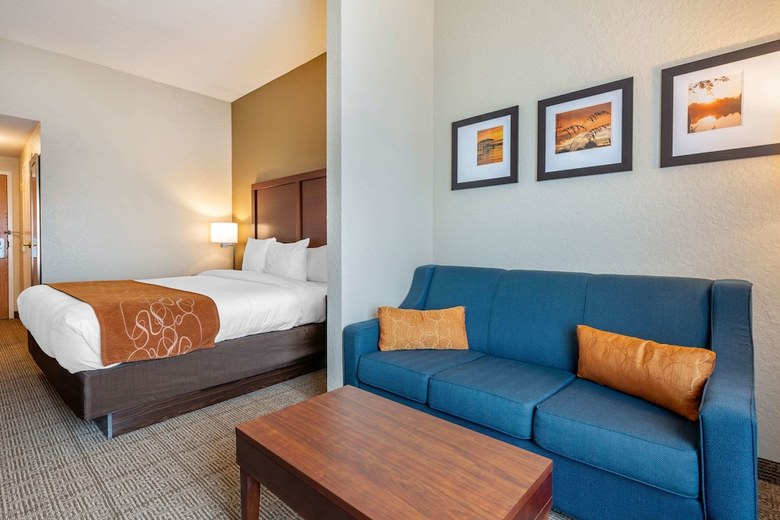 Hotel Comfort Suites Downtown