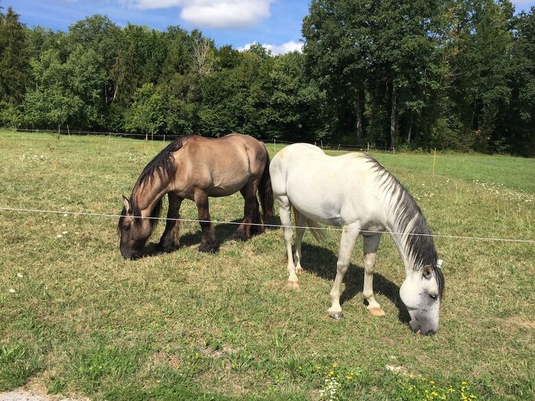 Villa Ferme Manoir de Dubourvieux