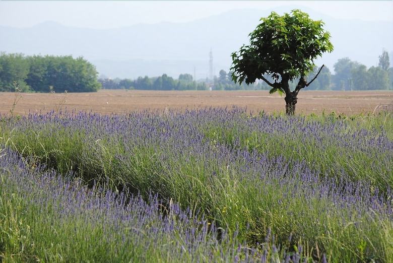 Agroturismo Fondobrugarolo