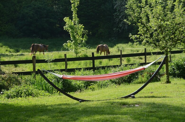 Bed & Breakfast Manoir de Chaussoy