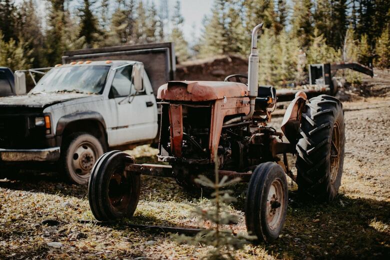 Hotel Big Creek Lodge - Working Guest Ranch
