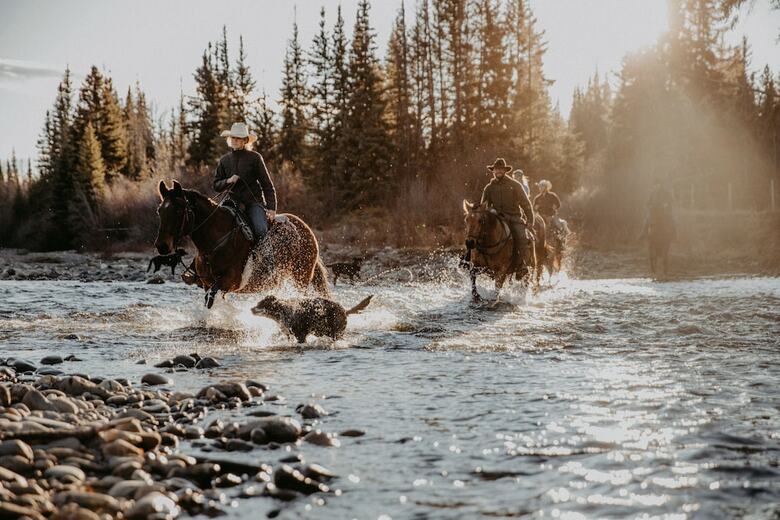 Hotel Big Creek Lodge - Working Guest Ranch