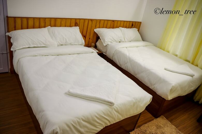 Lemon Tree Apartment And Homestay