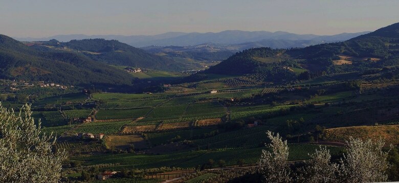 Agroturismo Podere Il Poggiolo