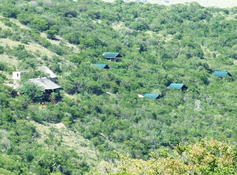 Posada Inkwenkwezi Private Game Reserve