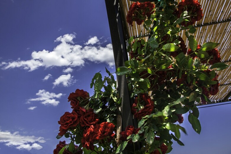 Agroturismo Tenuta Santa Tecla