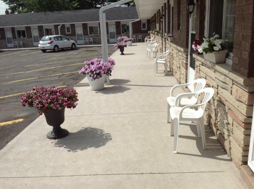 Motel Tay Inn