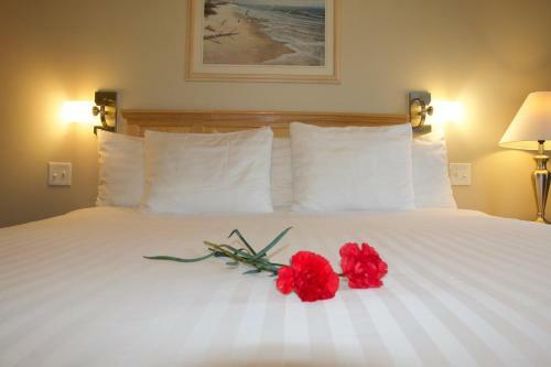 Posada Rum Runner Inn