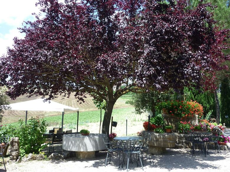 Bed & Breakfast Castello Di Belforte