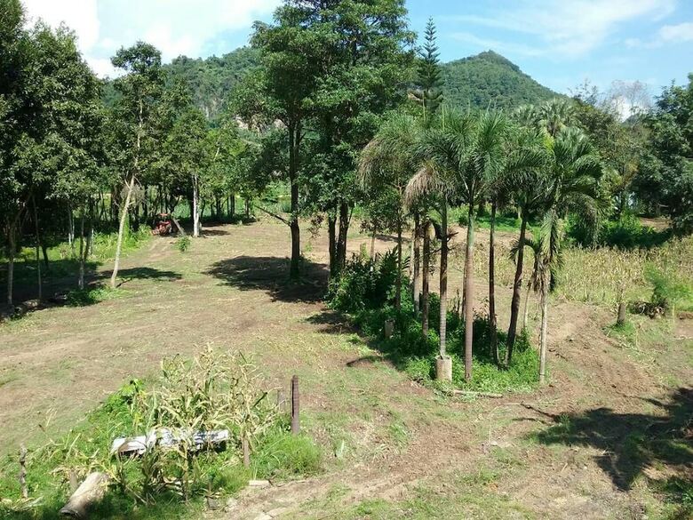 Hotel Farmstay At Pha Ma Chiangrai