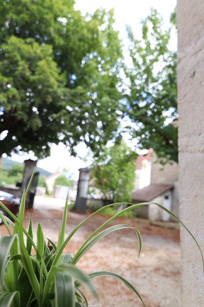 Bed & Breakfast Chambre D'h�tes La Malinette