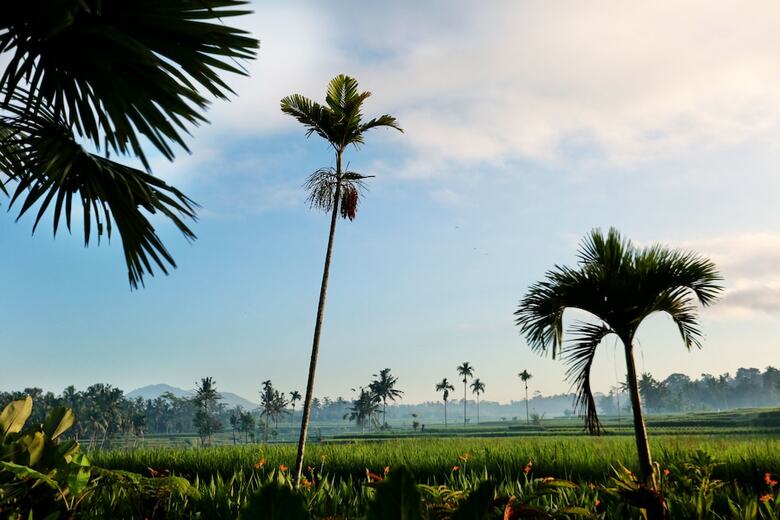 Bed & Breakfast Padi Bali Eco Villas