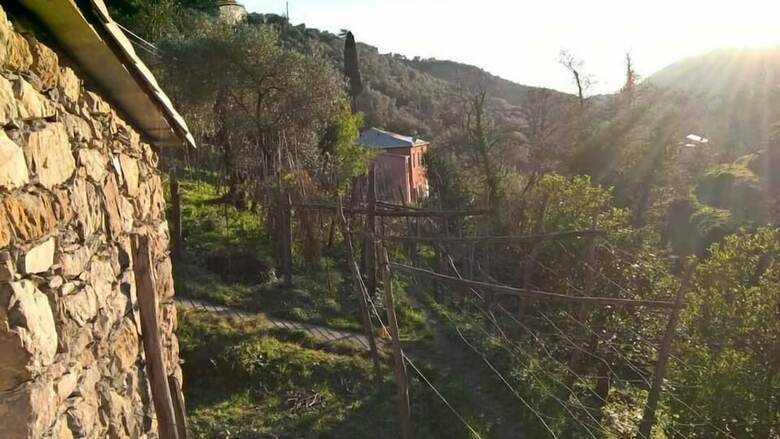 Agroturismo Agriturismo A' Taversa