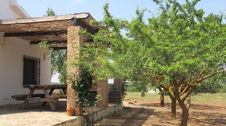 Agroturismo El Romeral de La Laguna