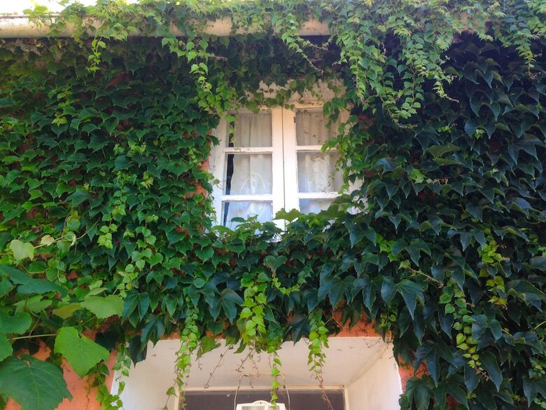 Bed & Breakfast Casa Lourido