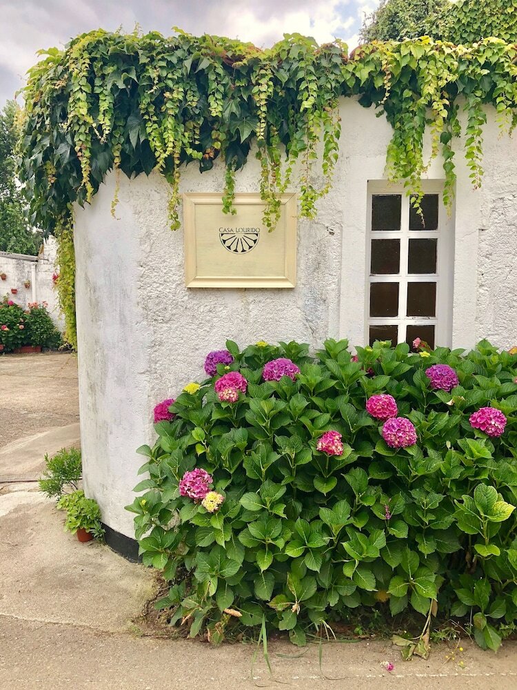 Bed & Breakfast Casa Lourido