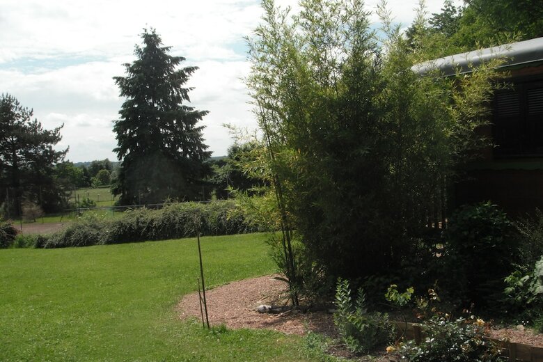 La Roulotte de L'albizia