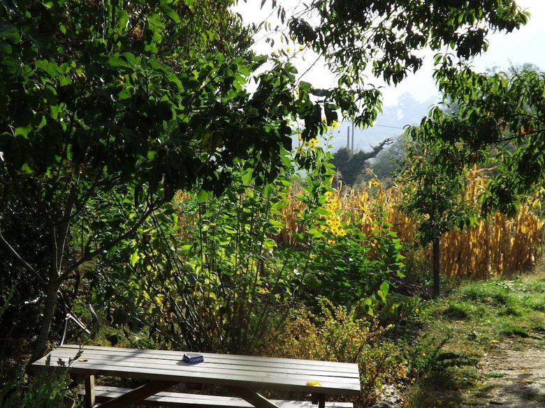 Agroturismo Reitoral de Chandrexa