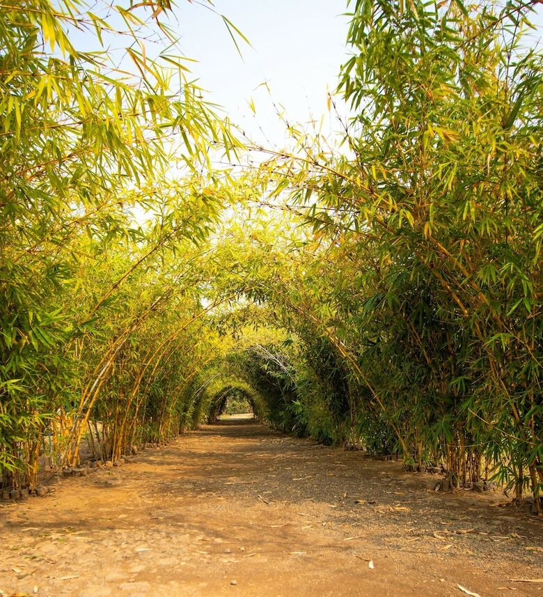 Hotel Karandla Farm And Resort