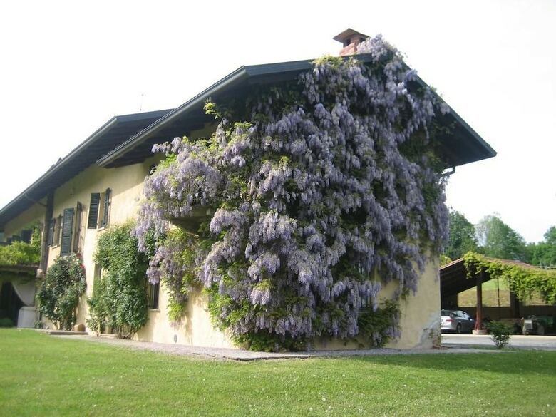 Antica Cascina Del Medico