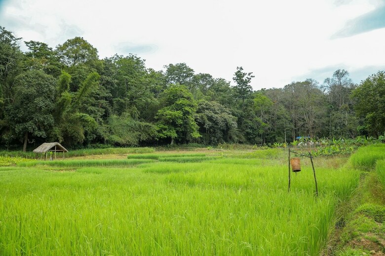 Hotel The Woods Resorts Wayanad