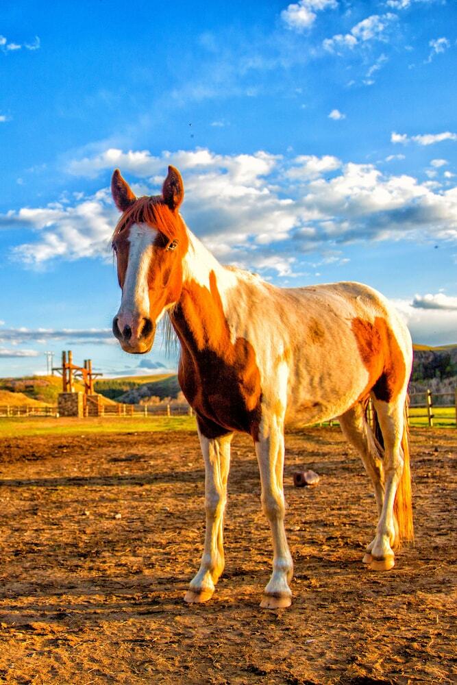 Agroturismo Ranches At Belt Creek