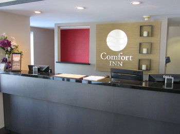 Motel Comfort Inn Cobourg