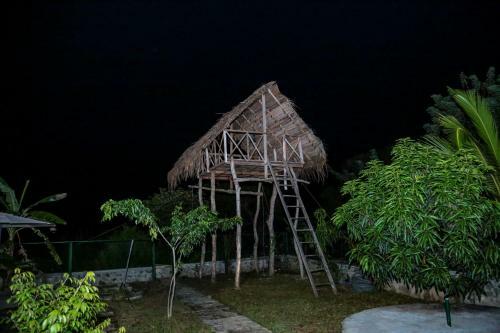 Hotel D Family Resort