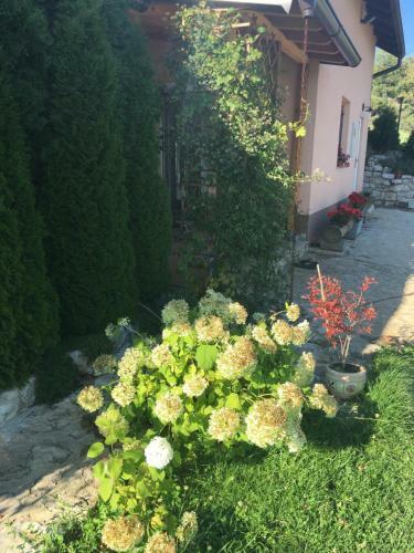 Holiday Home Mrkovici