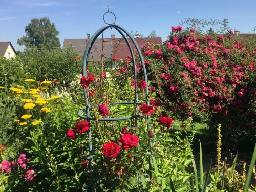 Apartmany Clematis