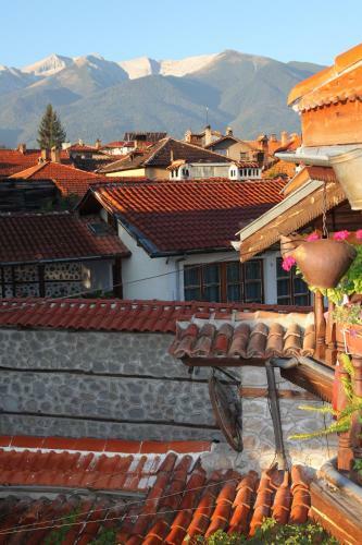Hostal Dedo Pene Inn