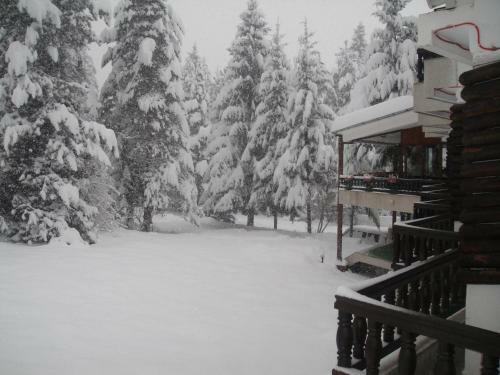 Tofana Hotel