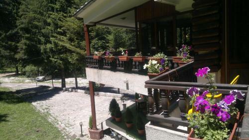 Tofana Hotel
