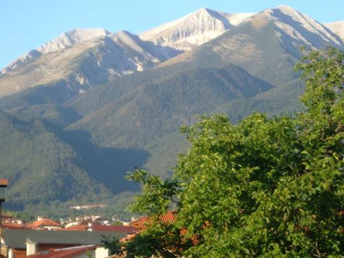 Family Hotel Bisser