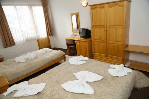 Family Hotel Bisser